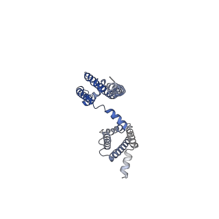 0341_6n4q_B_v1-3
CryoEM structure of Nav1.7 VSD2 (actived state) in complex with the gating modifier toxin ProTx2