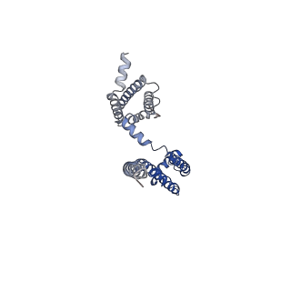 0341_6n4q_D_v1-3
CryoEM structure of Nav1.7 VSD2 (actived state) in complex with the gating modifier toxin ProTx2