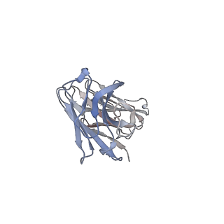 0341_6n4q_L_v1-3
CryoEM structure of Nav1.7 VSD2 (actived state) in complex with the gating modifier toxin ProTx2