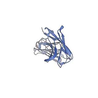 0342_6n4r_L_v1-3
CryoEM structure of Nav1.7 VSD2 (deactived state) in complex with the gating modifier toxin ProTx2