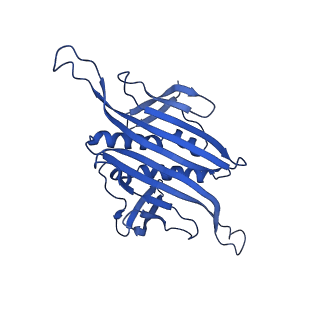 0344_6n4v_AA_v1-2
CryoEM structure of Leviviridae PP7 WT coat protein dimer capsid (PP7PP7-WT)