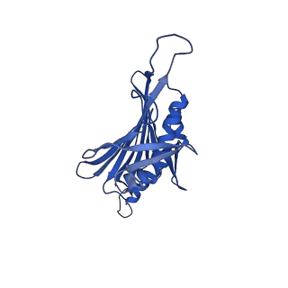 0344_6n4v_AB_v1-2
CryoEM structure of Leviviridae PP7 WT coat protein dimer capsid (PP7PP7-WT)