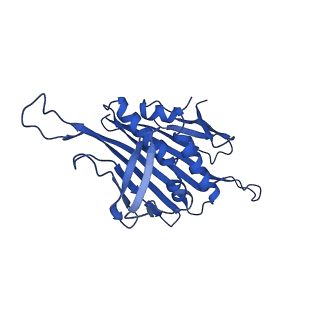 0344_6n4v_AC_v1-2
CryoEM structure of Leviviridae PP7 WT coat protein dimer capsid (PP7PP7-WT)