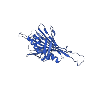 0344_6n4v_AD_v1-2
CryoEM structure of Leviviridae PP7 WT coat protein dimer capsid (PP7PP7-WT)