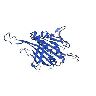 0344_6n4v_A_v1-2
CryoEM structure of Leviviridae PP7 WT coat protein dimer capsid (PP7PP7-WT)
