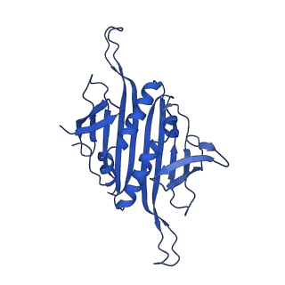 0344_6n4v_Af_v1-2
CryoEM structure of Leviviridae PP7 WT coat protein dimer capsid (PP7PP7-WT)