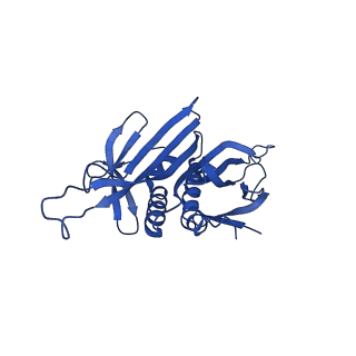 0344_6n4v_BA_v1-2
CryoEM structure of Leviviridae PP7 WT coat protein dimer capsid (PP7PP7-WT)