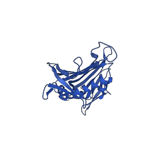 0344_6n4v_BB_v1-2
CryoEM structure of Leviviridae PP7 WT coat protein dimer capsid (PP7PP7-WT)