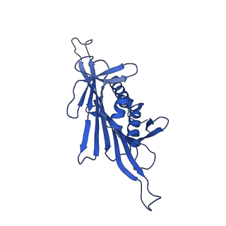 0344_6n4v_BC_v1-2
CryoEM structure of Leviviridae PP7 WT coat protein dimer capsid (PP7PP7-WT)