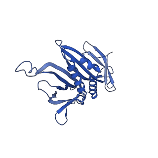 0344_6n4v_BD_v1-2
CryoEM structure of Leviviridae PP7 WT coat protein dimer capsid (PP7PP7-WT)