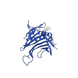 0344_6n4v_B_v1-2
CryoEM structure of Leviviridae PP7 WT coat protein dimer capsid (PP7PP7-WT)