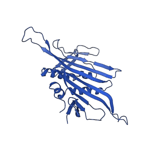 0344_6n4v_CA_v1-2
CryoEM structure of Leviviridae PP7 WT coat protein dimer capsid (PP7PP7-WT)