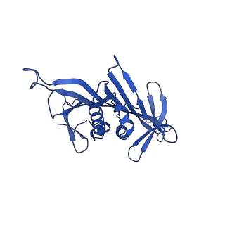 0344_6n4v_CB_v1-2
CryoEM structure of Leviviridae PP7 WT coat protein dimer capsid (PP7PP7-WT)