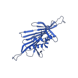 0344_6n4v_CD_v1-2
CryoEM structure of Leviviridae PP7 WT coat protein dimer capsid (PP7PP7-WT)