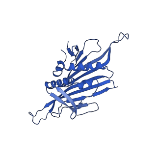 0344_6n4v_C_v1-2
CryoEM structure of Leviviridae PP7 WT coat protein dimer capsid (PP7PP7-WT)