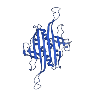 0344_6n4v_DA_v1-2
CryoEM structure of Leviviridae PP7 WT coat protein dimer capsid (PP7PP7-WT)