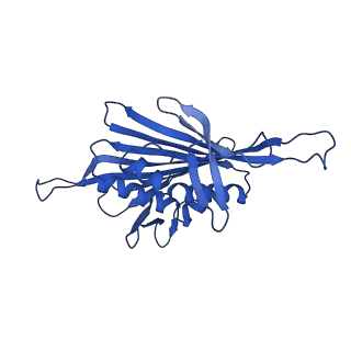 0344_6n4v_DB_v1-2
CryoEM structure of Leviviridae PP7 WT coat protein dimer capsid (PP7PP7-WT)