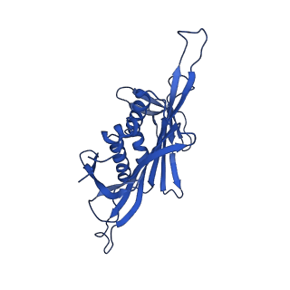 0344_6n4v_DC_v1-2
CryoEM structure of Leviviridae PP7 WT coat protein dimer capsid (PP7PP7-WT)