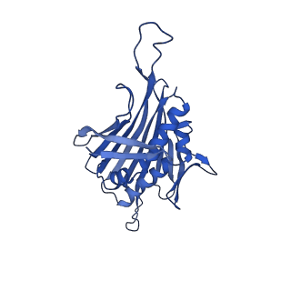 0344_6n4v_DD_v1-2
CryoEM structure of Leviviridae PP7 WT coat protein dimer capsid (PP7PP7-WT)
