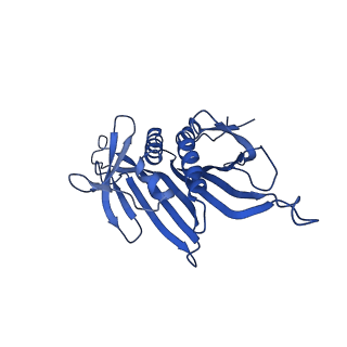 0344_6n4v_D_v1-2
CryoEM structure of Leviviridae PP7 WT coat protein dimer capsid (PP7PP7-WT)