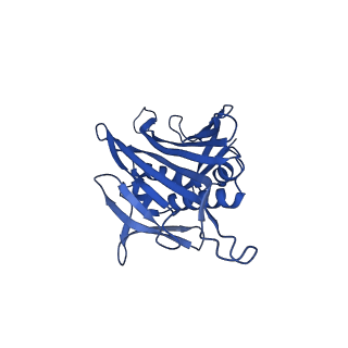 0344_6n4v_EA_v1-2
CryoEM structure of Leviviridae PP7 WT coat protein dimer capsid (PP7PP7-WT)