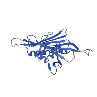 0344_6n4v_EB_v1-2
CryoEM structure of Leviviridae PP7 WT coat protein dimer capsid (PP7PP7-WT)