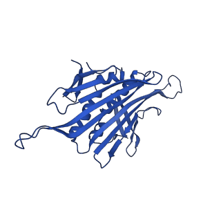 0344_6n4v_EC_v1-2
CryoEM structure of Leviviridae PP7 WT coat protein dimer capsid (PP7PP7-WT)