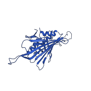 0344_6n4v_ED_v1-2
CryoEM structure of Leviviridae PP7 WT coat protein dimer capsid (PP7PP7-WT)