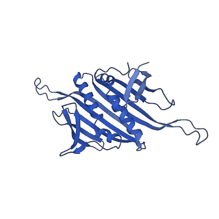 0344_6n4v_E_v1-2
CryoEM structure of Leviviridae PP7 WT coat protein dimer capsid (PP7PP7-WT)