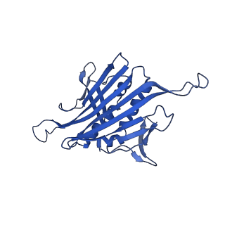 0344_6n4v_FA_v1-2
CryoEM structure of Leviviridae PP7 WT coat protein dimer capsid (PP7PP7-WT)
