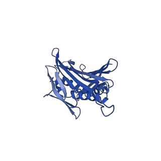 0344_6n4v_FB_v1-2
CryoEM structure of Leviviridae PP7 WT coat protein dimer capsid (PP7PP7-WT)