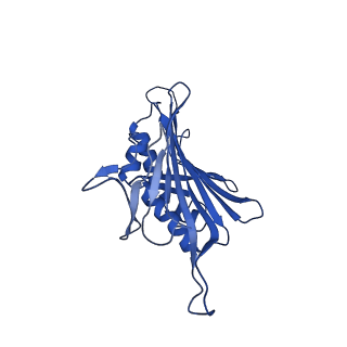 0344_6n4v_FC_v1-2
CryoEM structure of Leviviridae PP7 WT coat protein dimer capsid (PP7PP7-WT)