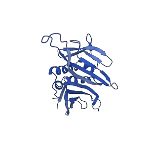 0344_6n4v_FD_v1-2
CryoEM structure of Leviviridae PP7 WT coat protein dimer capsid (PP7PP7-WT)
