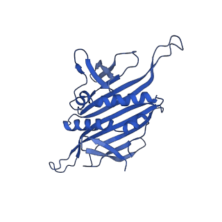 0344_6n4v_F_v1-2
CryoEM structure of Leviviridae PP7 WT coat protein dimer capsid (PP7PP7-WT)