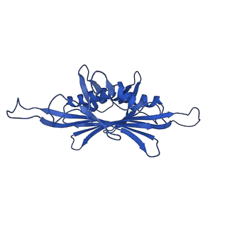 0344_6n4v_GA_v1-2
CryoEM structure of Leviviridae PP7 WT coat protein dimer capsid (PP7PP7-WT)