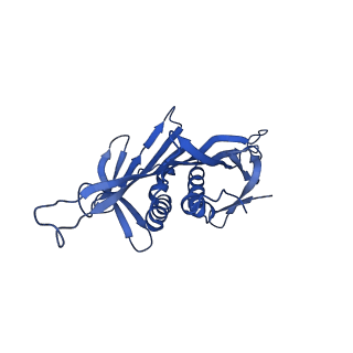 0344_6n4v_GB_v1-2
CryoEM structure of Leviviridae PP7 WT coat protein dimer capsid (PP7PP7-WT)
