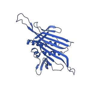 0344_6n4v_GC_v1-2
CryoEM structure of Leviviridae PP7 WT coat protein dimer capsid (PP7PP7-WT)