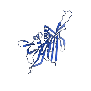 0344_6n4v_GD_v1-2
CryoEM structure of Leviviridae PP7 WT coat protein dimer capsid (PP7PP7-WT)