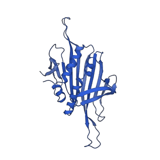 0344_6n4v_G_v1-2
CryoEM structure of Leviviridae PP7 WT coat protein dimer capsid (PP7PP7-WT)