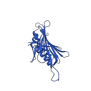 0344_6n4v_HB_v1-2
CryoEM structure of Leviviridae PP7 WT coat protein dimer capsid (PP7PP7-WT)