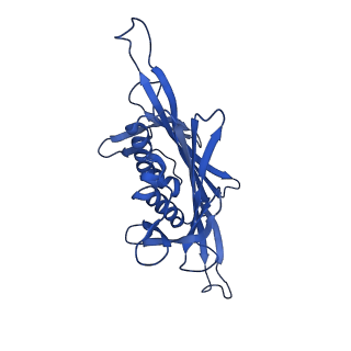 0344_6n4v_HC_v1-2
CryoEM structure of Leviviridae PP7 WT coat protein dimer capsid (PP7PP7-WT)