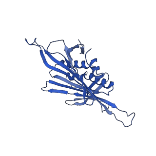 0344_6n4v_HD_v1-2
CryoEM structure of Leviviridae PP7 WT coat protein dimer capsid (PP7PP7-WT)