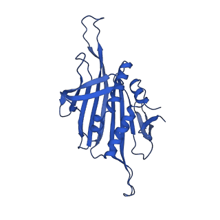 0344_6n4v_H_v1-2
CryoEM structure of Leviviridae PP7 WT coat protein dimer capsid (PP7PP7-WT)