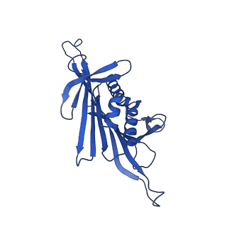 0344_6n4v_IA_v1-2
CryoEM structure of Leviviridae PP7 WT coat protein dimer capsid (PP7PP7-WT)