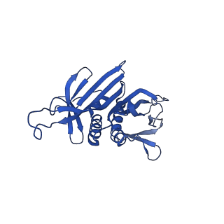 0344_6n4v_IB_v1-2
CryoEM structure of Leviviridae PP7 WT coat protein dimer capsid (PP7PP7-WT)