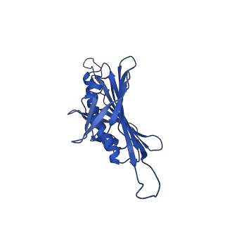0344_6n4v_IC_v1-2
CryoEM structure of Leviviridae PP7 WT coat protein dimer capsid (PP7PP7-WT)