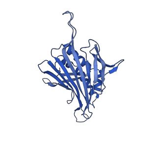 0344_6n4v_ID_v1-2
CryoEM structure of Leviviridae PP7 WT coat protein dimer capsid (PP7PP7-WT)