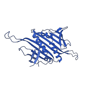 0344_6n4v_I_v1-2
CryoEM structure of Leviviridae PP7 WT coat protein dimer capsid (PP7PP7-WT)