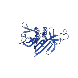 0344_6n4v_JA_v1-2
CryoEM structure of Leviviridae PP7 WT coat protein dimer capsid (PP7PP7-WT)