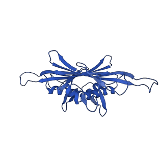 0344_6n4v_JB_v1-2
CryoEM structure of Leviviridae PP7 WT coat protein dimer capsid (PP7PP7-WT)